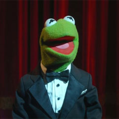 Kermit the Frog - The Muppets