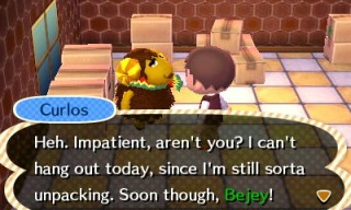 Curlos Unpacking in Animal Crossing