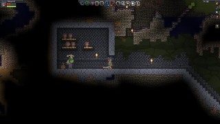 Starbound Underground Frog Shop