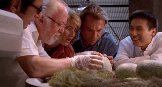 The birth of a Velociraptor