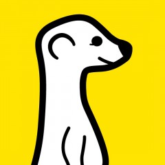 Meerkat is Not the Next BIG Thing