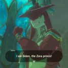 Hyrule is full of colorful characters (2)